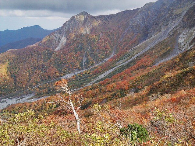 鳥取、大山の紅葉