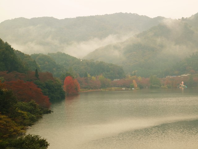 土師ダムの紅葉