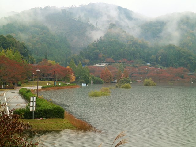 土師ダムの紅葉、のどごえ公園