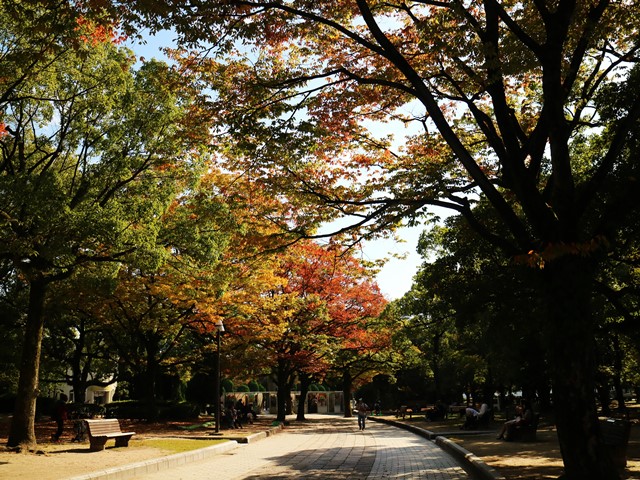 広島平和記念公園の紅葉