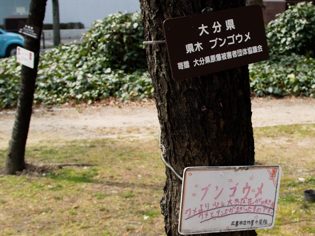 平和大通り、ブンゴウメ